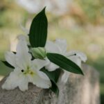 nagrobek kiedy stawiać